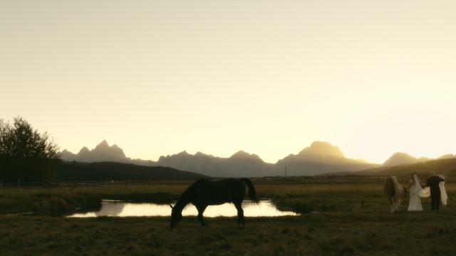 Diamond Cross Ranch - 3
