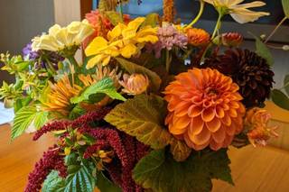 Little Acre Flowers - 18