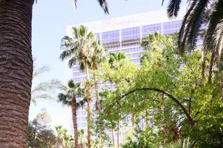 Flamingo Las Vegas Wedding Garden Chapel - 12