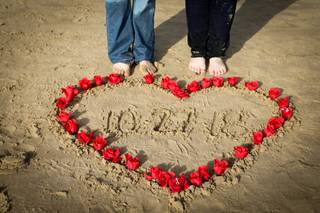 Olive Grove Photo - 11