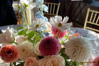 Fiori and Fern - 6