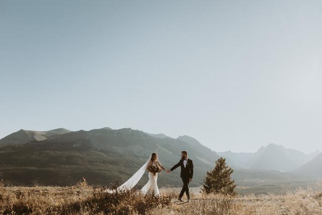 Amber Lynn Photography - 1
