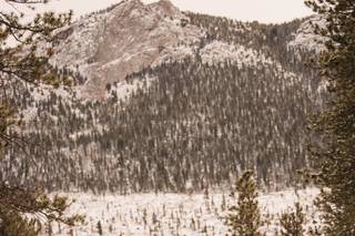 Della Terra by Wedgewood Weddings - 6