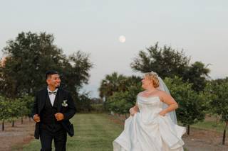 Ever After Farms Lemon Lime Wedding Venue - 5