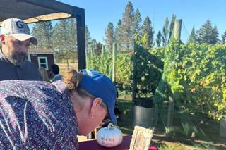 Jacquot Vineyard - 21
