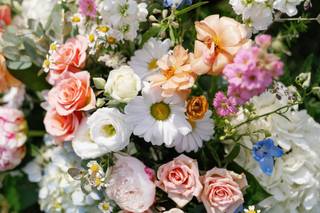 Blossoms - 9