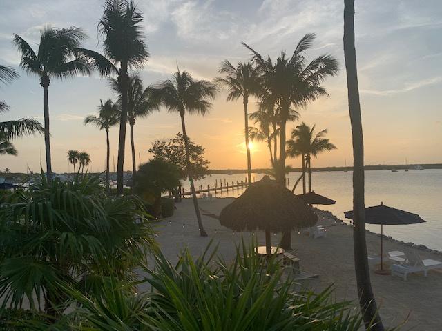 Coconut Palm Inn Reviews - Key Largo, FL - 41 Reviews