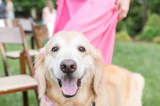 Anna Grace Photography - 6