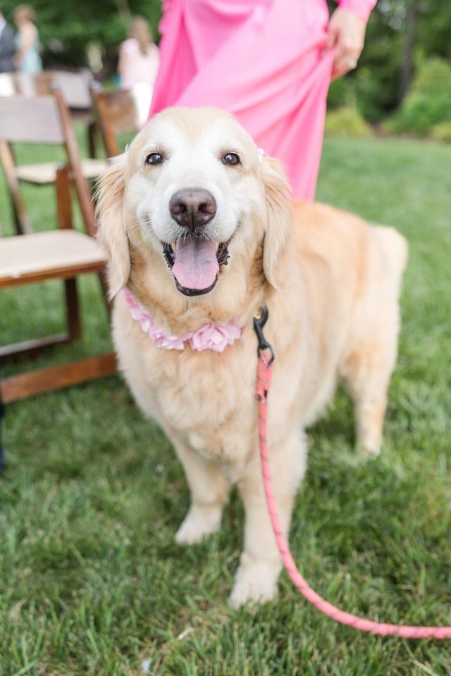 Anna Grace Photography - 2