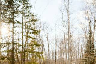 Lace & Brass Events, LLC - 7