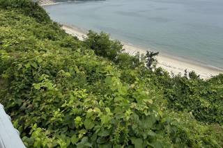 White Cliffs Country Club - 21