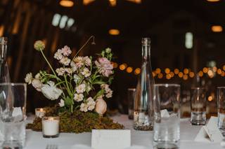 Corinne Ryan Photography - 6