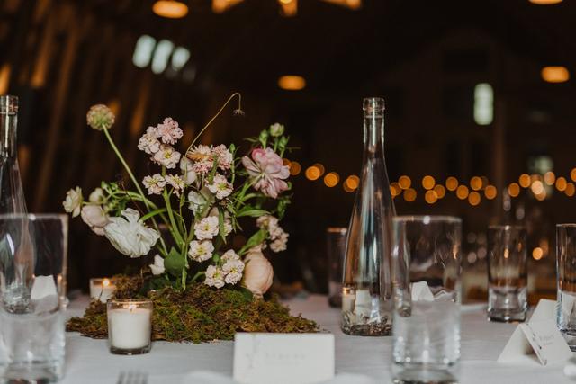 Corinne Ryan Photography - 2