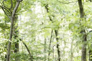 Elizabeth Hoard Photography - 67