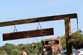 Croix-View Farm - 48