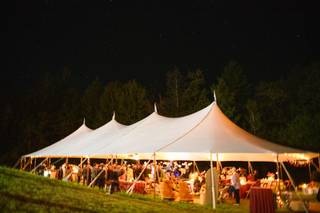 Wildly Rooted Weddings - 5