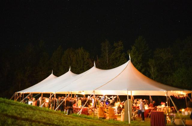 Wildly Rooted Weddings - 1