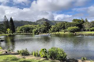 The Hawaiian Minister - 8