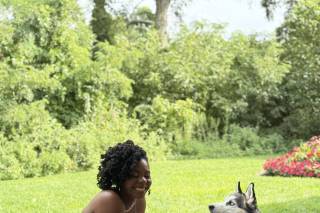 Happy Bark & Tails - 12