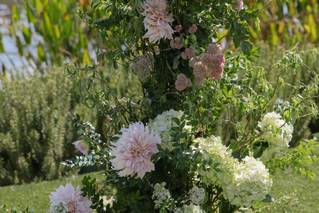 Bluebell Florals - 6
