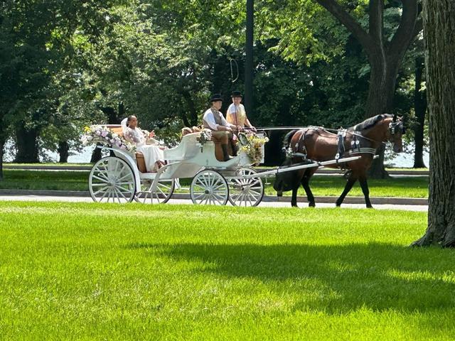 CARRIAGES of the CAPITAL - 4