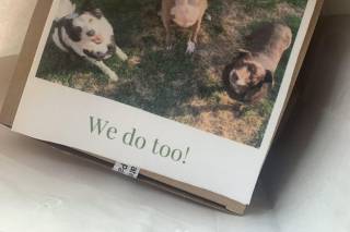 I Do! Invitations and Announcements - 16