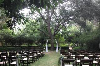3 Little Birds Event Planning & Rentals - 72