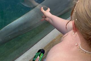 Gulfarium Marine Adventure Park - 20