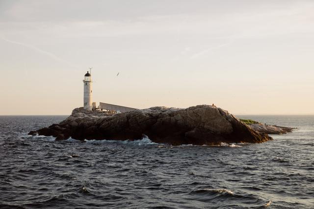 James Hardman Photography - 1
