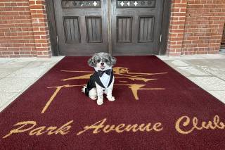 Park Avenue Club - 12