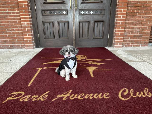 Park Avenue Club - 4