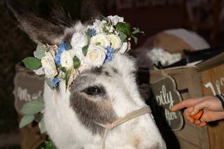 Haul N Ass Productions - 11