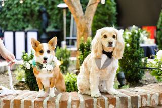 Jihan Cerda Photography - 7