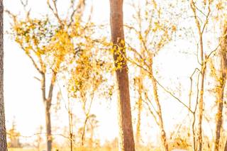Brittany Morgan Photography - 29