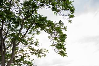 Nancy Zumpano Photography - 7
