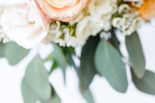 Kelsey James Photography - 12