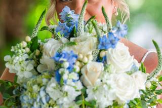 Lisa Petz Photography - 6