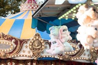 Birchtree fotos - 16