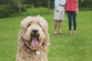 Beth McElhannon Photography - 18