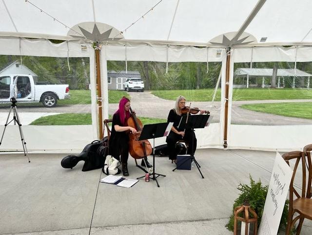 Viva la Strings - 1