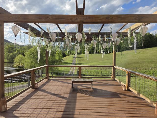 Cedarmere In The Blue Ridge - 4