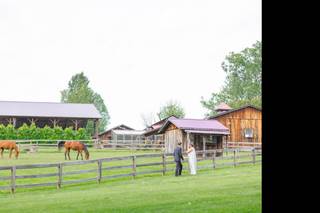 The Farm - 14