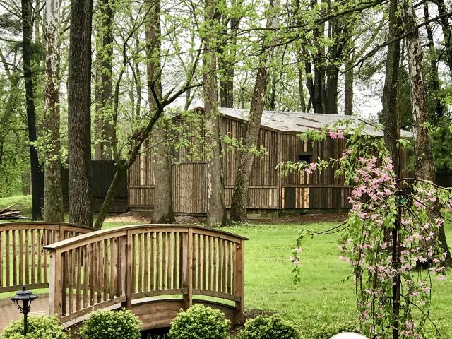 Black Iris Estate - 1