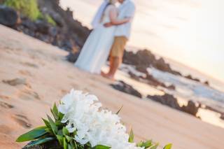 Penny Palmer Photography - 55
