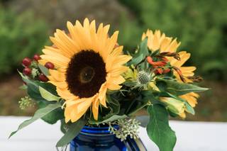 Dutch Bloemen Winkel - 68