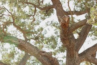 Elley Photography - 5
