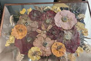 Olive Branch Studios - 20
