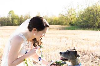 Liz Courtney Photography - 5