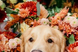 Madeline Isabella Photography - 5