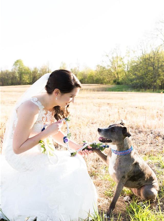 Liz Courtney Photography - 2